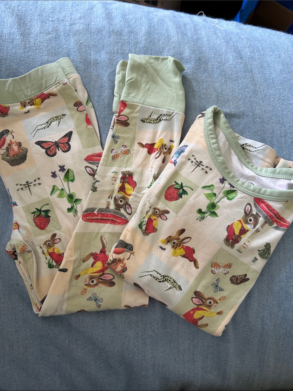 Children's Bunny Print Pajama Set in Light Green Trim